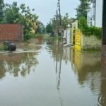 नवोदय नगर की बदहाल स्थिति पर फूट रहा है लोगों का गुस्सा, रोशनाबाद का इलाका बुनियादी सुविधाओं से वंचित, गलियों में 2 फीट तक जलभराव के चलते कीचड की भरमार !