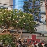 डीएम सविन बंसल की फटकार से हिली फार्मा कम्पनी, ड्यूटी के दौरान जल कर घायल हुए कर्मचारी से कम्पनी ने किया था किनारा, फटकार के बाद इलाज के लिए दिया पैसा और वापस कराई री-ज्वाईनिंग !